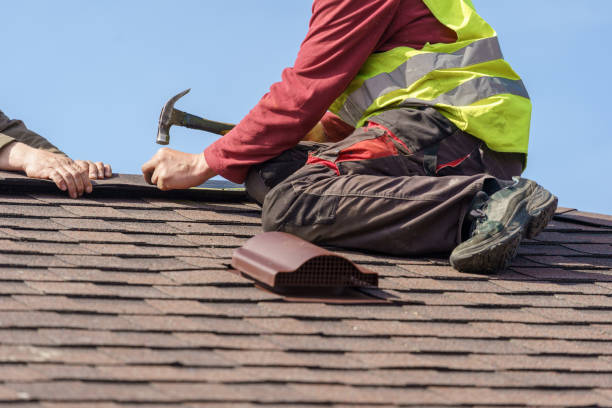 Best Shingle Roofing Installation  in Minot Af, ND