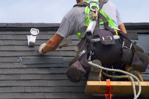 Best Roof Maintenance Services  in Minot Af, ND