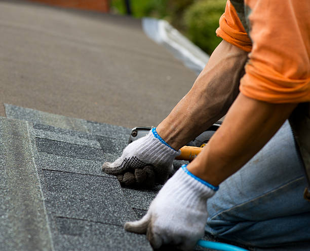 Best Roof Gutter Cleaning  in Minot Af, ND