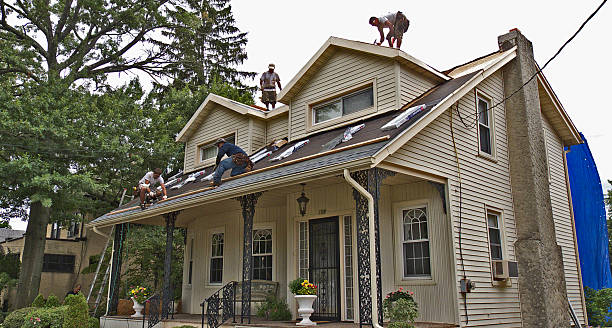Best Flat Roof Repair Services  in Minot Af, ND